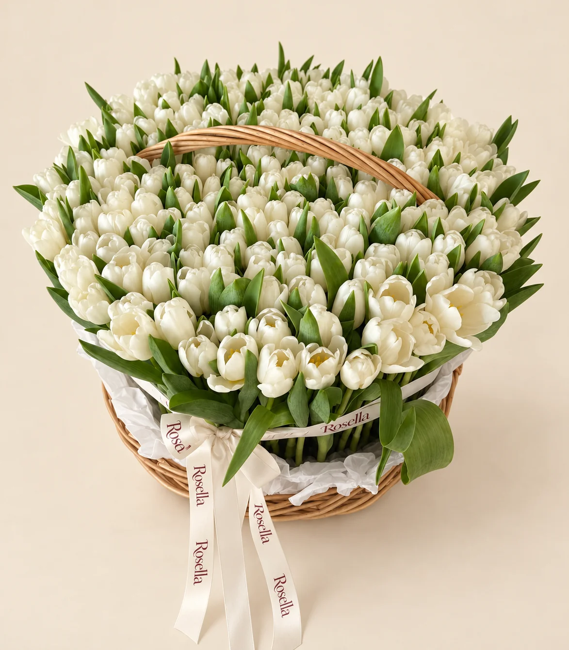 210 tulips in a basket