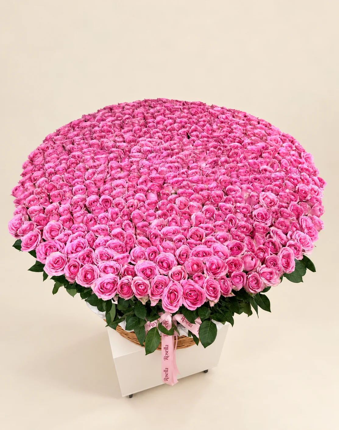 480 roses in a basket