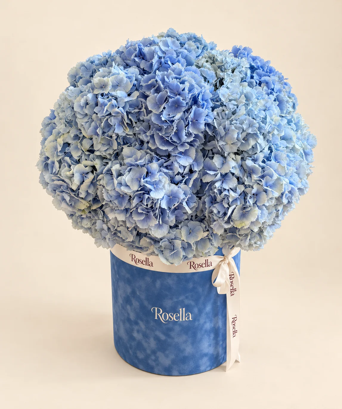 15 hydrangeas in a round box