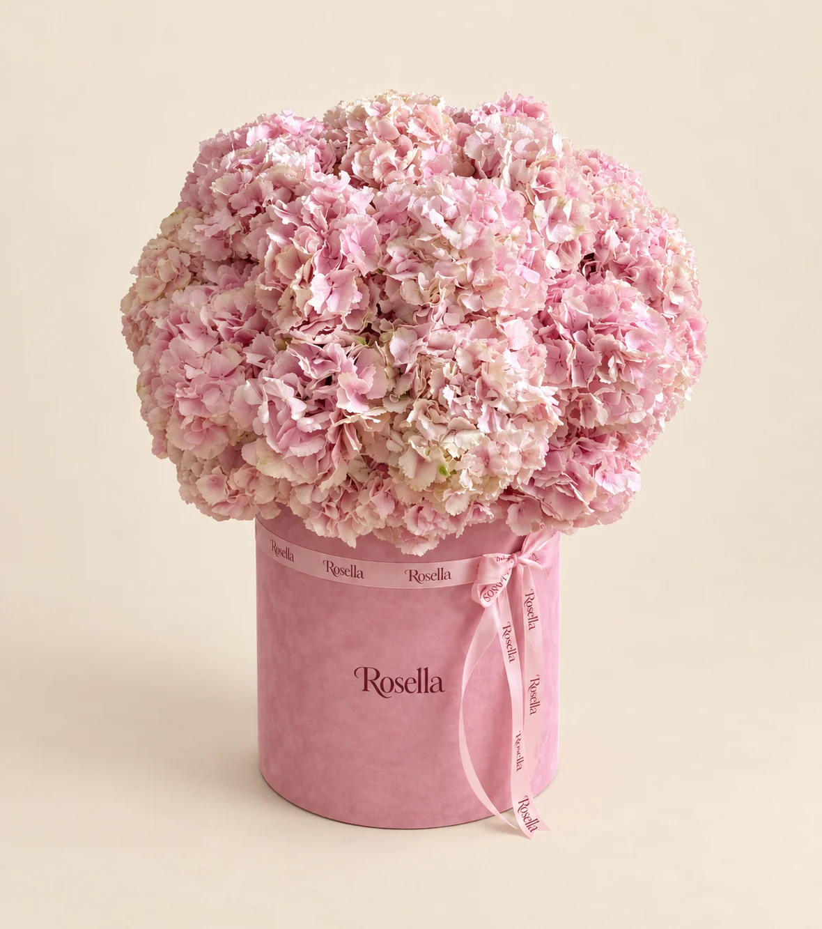 17 hydrangeas in a round box
