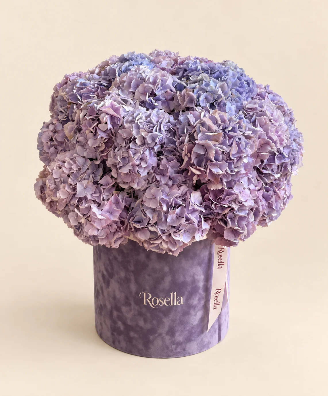 24 hydrangeas in a round box