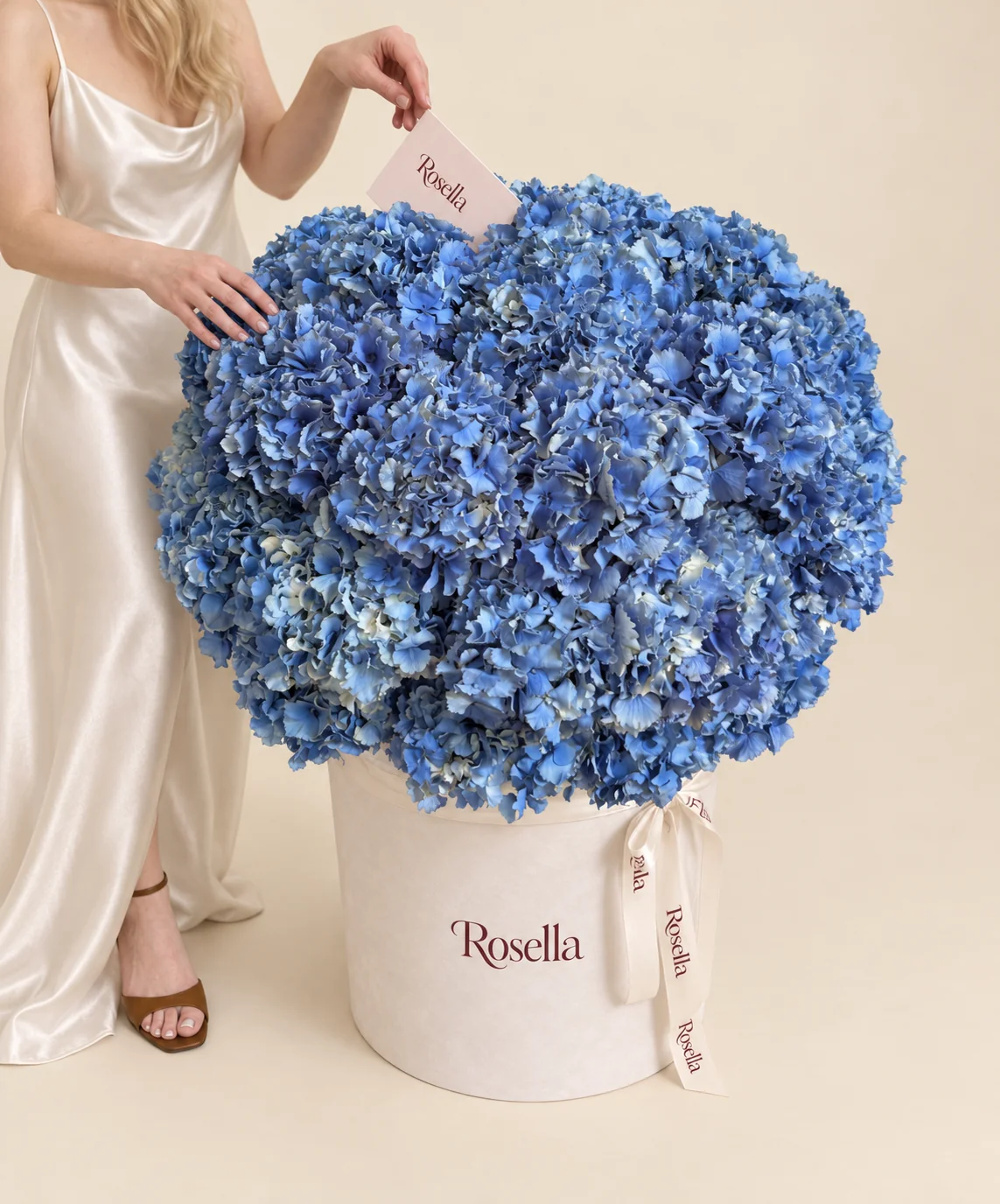 40 hydrangeas in a round box