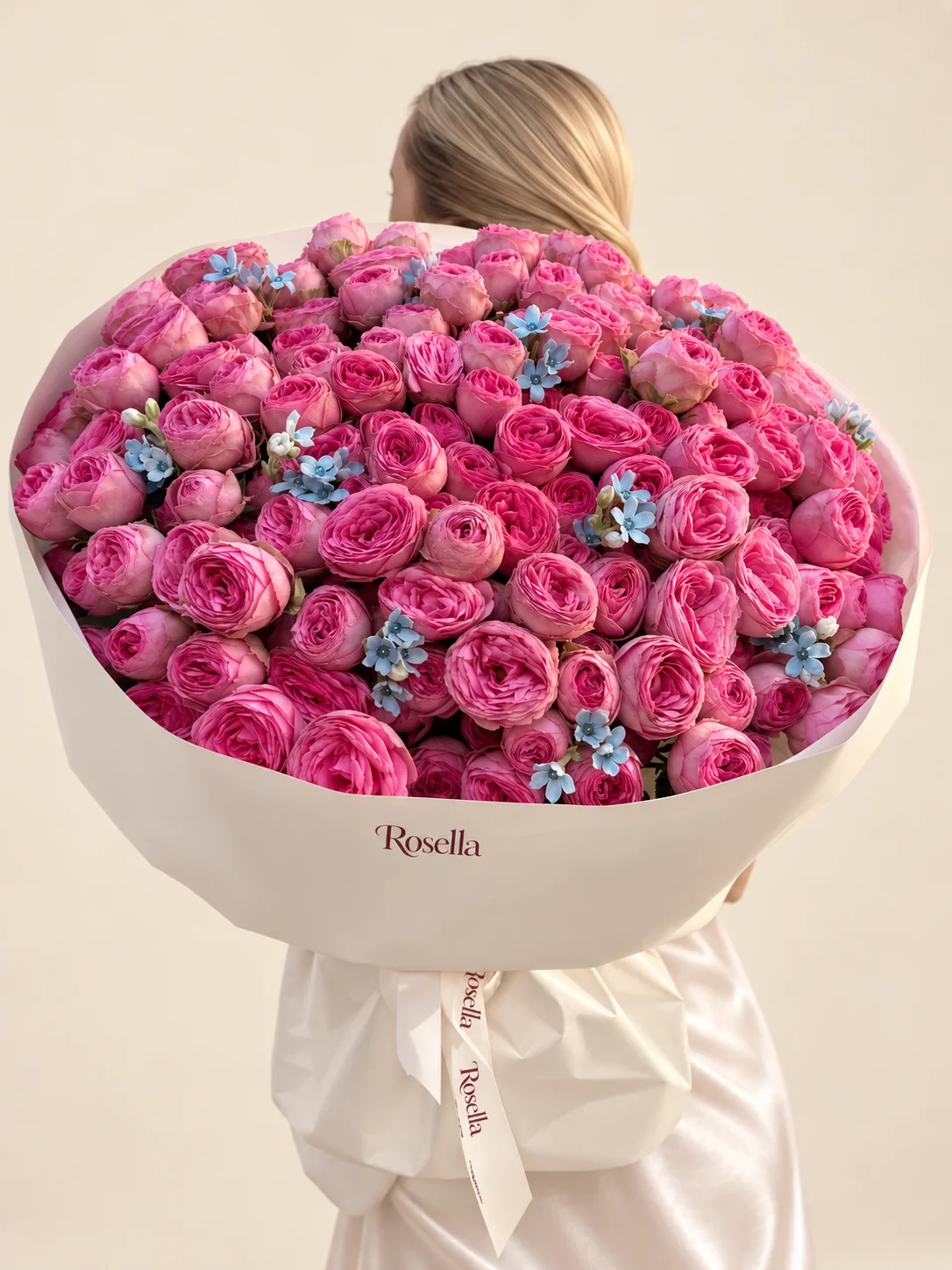 120 garden roses & 36 tweedia blooms in a hand-tied bouquet