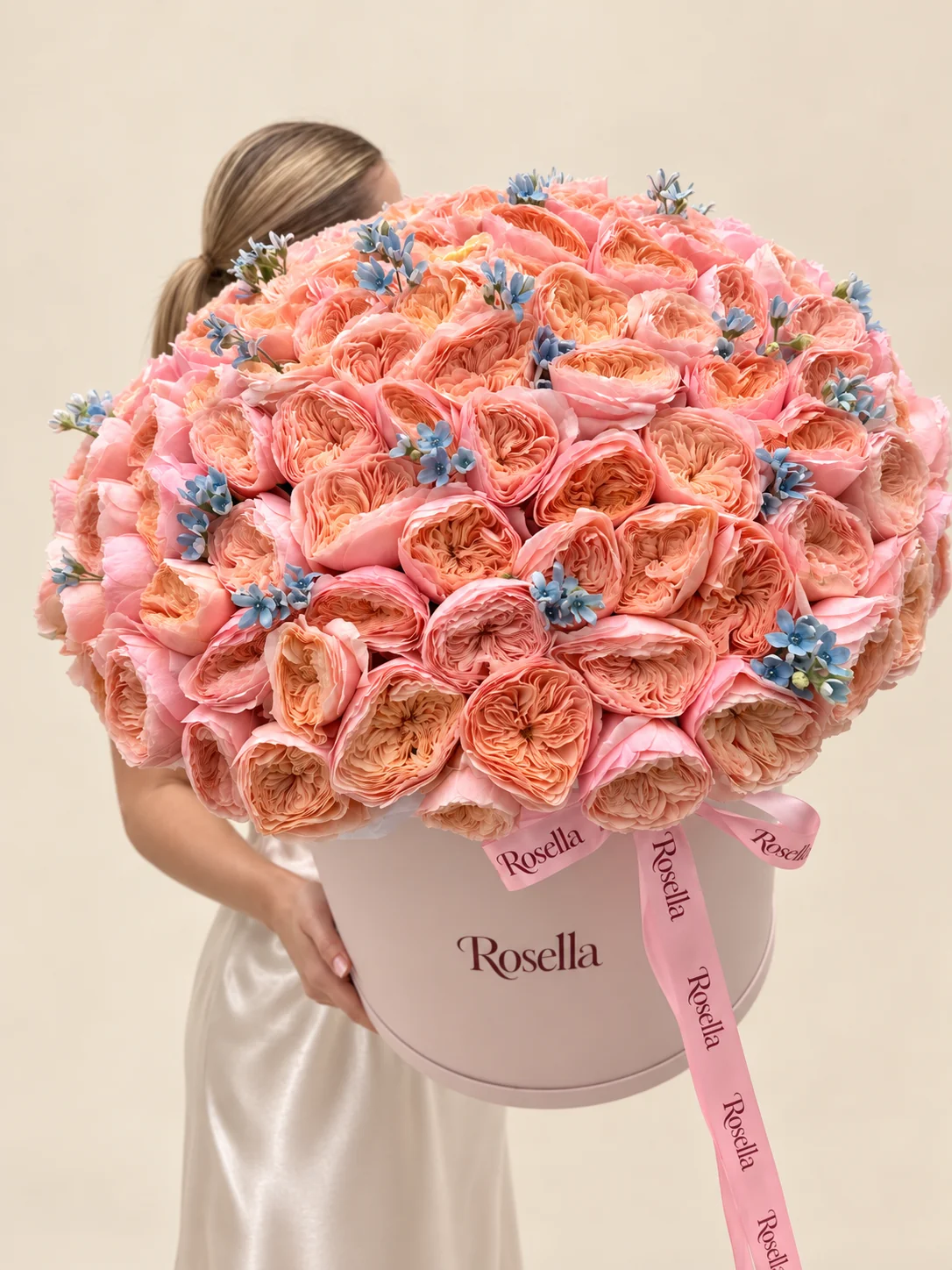 85 garden roses & 80 tweedia blooms in a round box