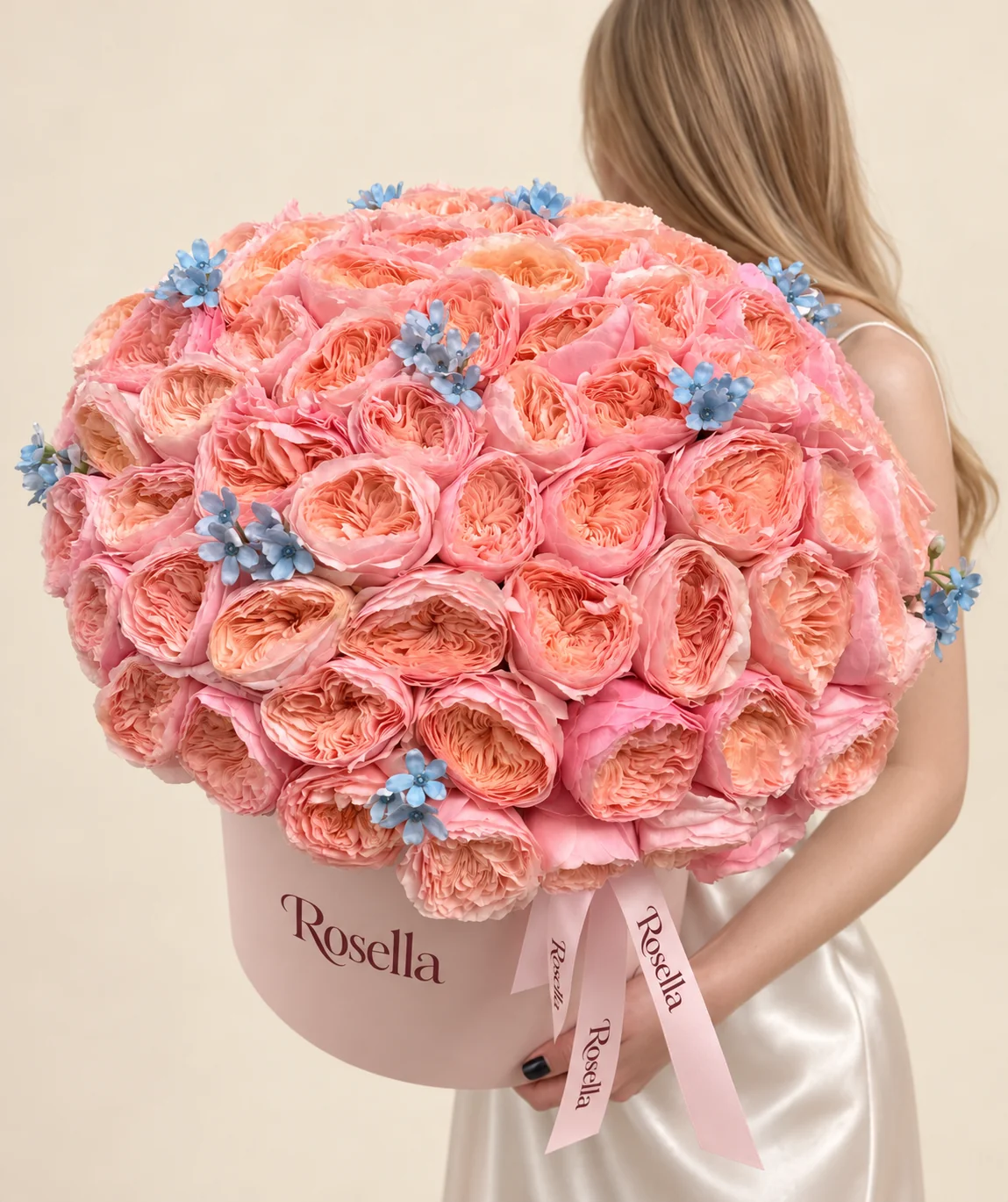 68 garden roses & 40 tweedia blooms in a round box