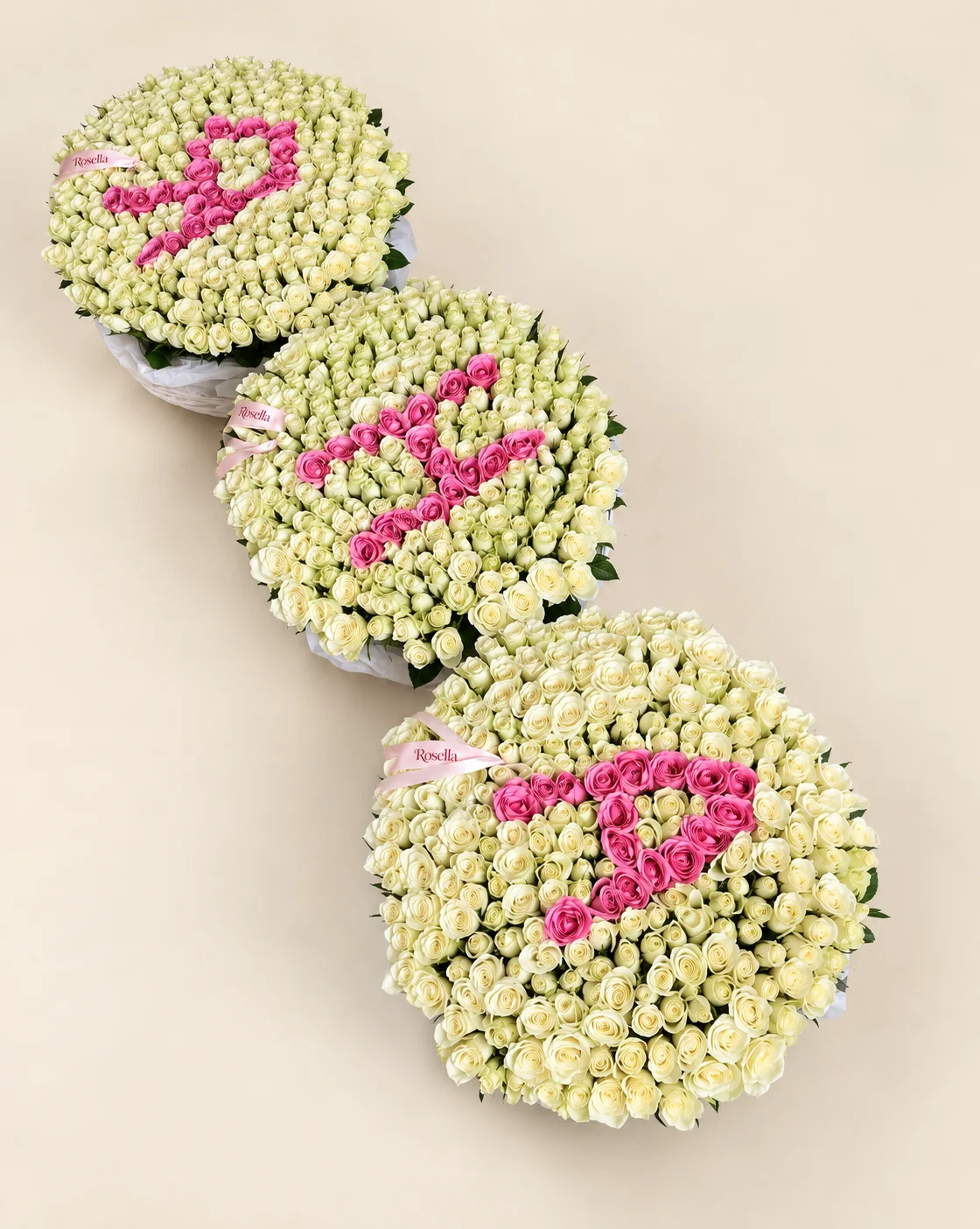 555 cream roses & 60 pink roses in a basket